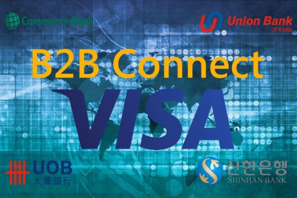 VISA B2B